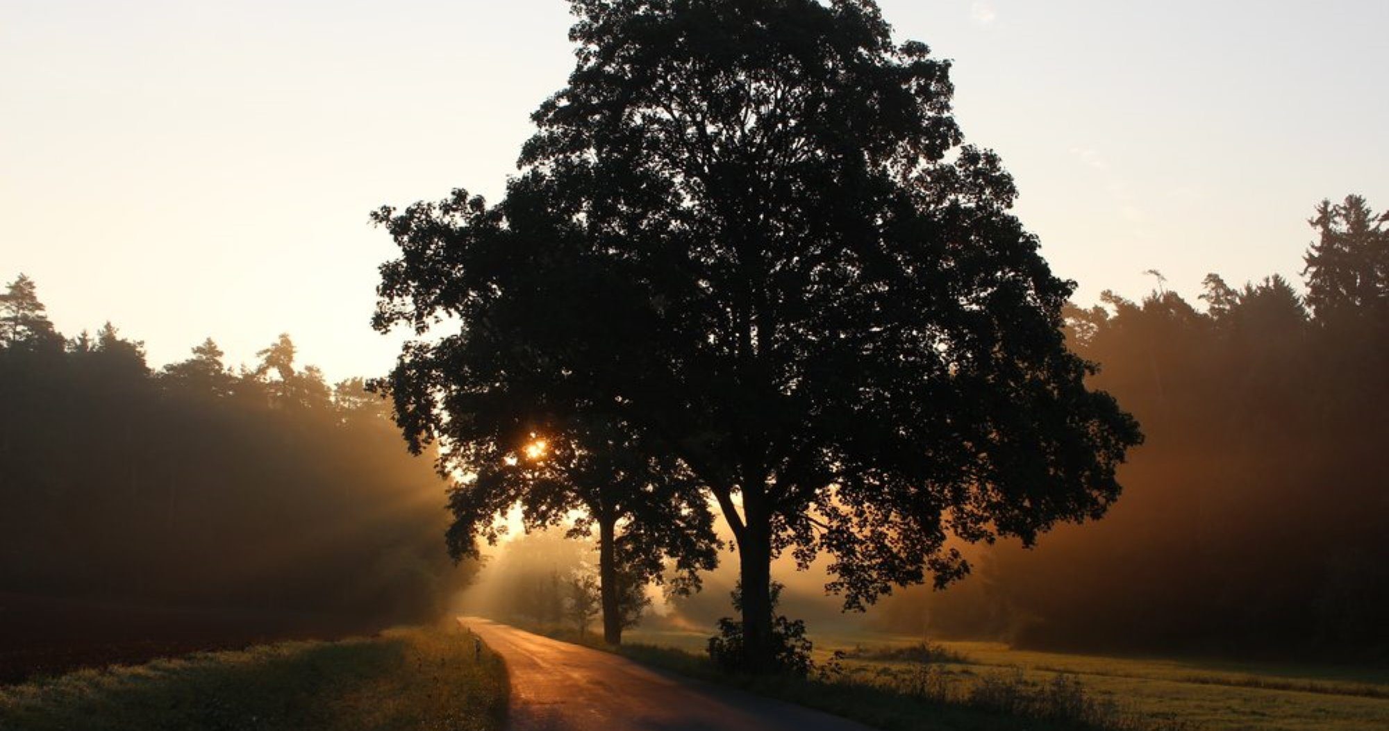 Sonntag Counseling LLC